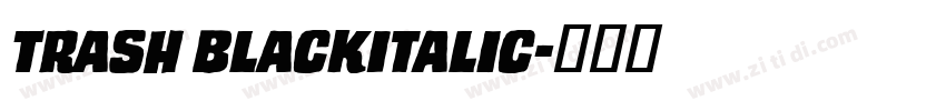 Trash BlackItalic字体转换